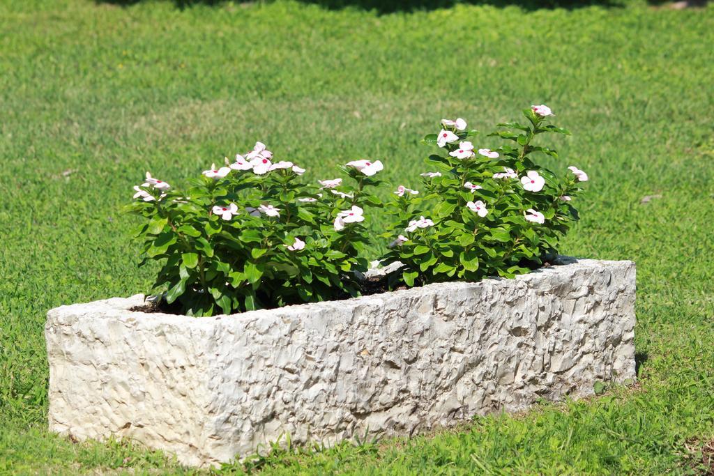 B&B La Grola San Martino Buon Albergo Bagian luar foto