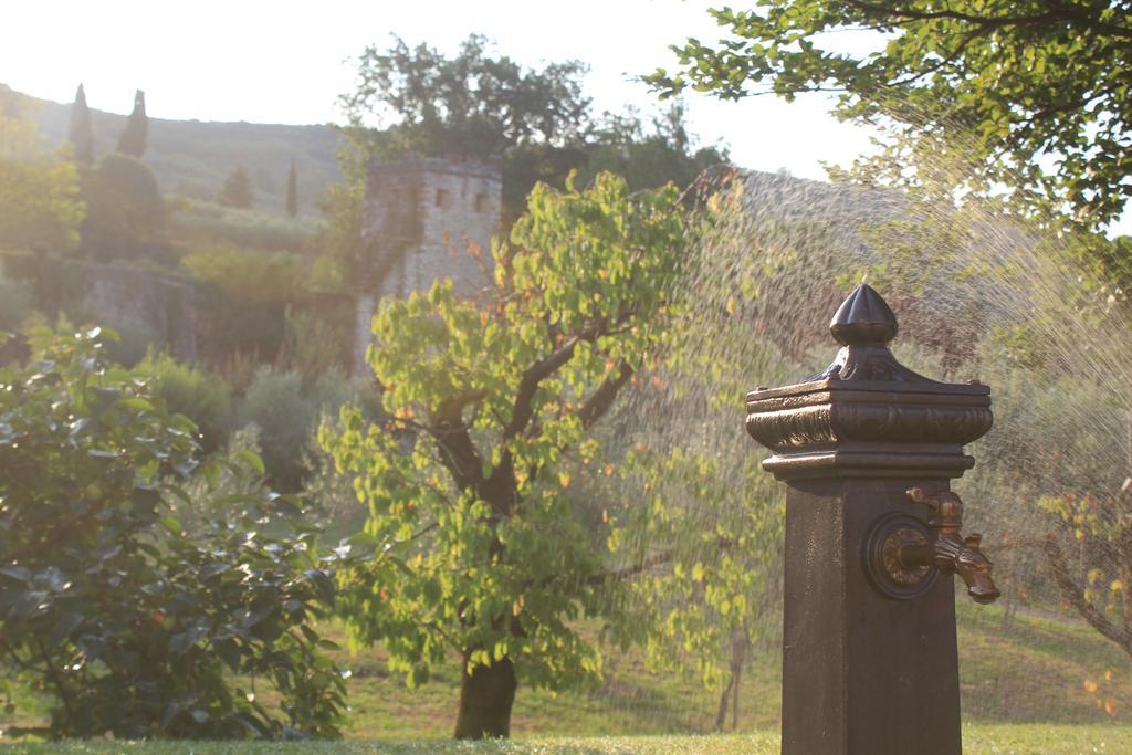 B&B La Grola San Martino Buon Albergo Bagian luar foto