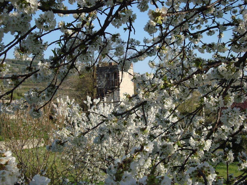 B&B La Grola San Martino Buon Albergo Ruang foto